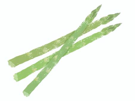 アスパラガス アスパラガス,シンプル,野菜,グリーン,食,農のイラスト素材