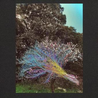 季節が終わりを告げても桜咲く 桜,季節,自然,植物,アート,故郷,環境,スケッチ,希望,花のイラスト素材