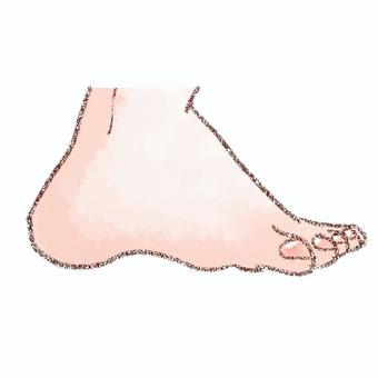 左足　内側 足,左,内側,指,爪,水彩,鉛筆のイラスト素材