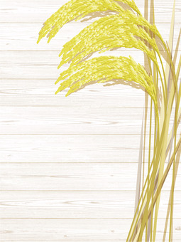 金色の稲穂と板の背景1　ine009 稲穂,金色,リアル,収穫,お米,ナチュラル,お洒落,自然,植物,大人っぽいのイラスト素材