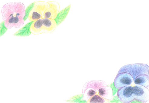 Pansy Frame, , JPG and PNG