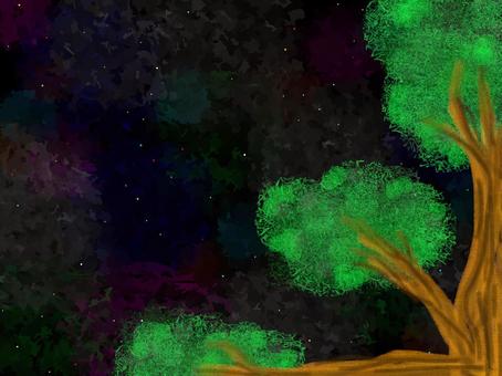 星空風景イラスト 星空,夜,風景,自然,木,植物,背景のイラスト素材