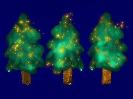 Three trees with shining illumination, JPG Three trees with shining illumination, illumination, wood, christmas tree, JPG