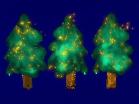 Three trees with shining illumination, illumination, wood, christmas tree, JPG