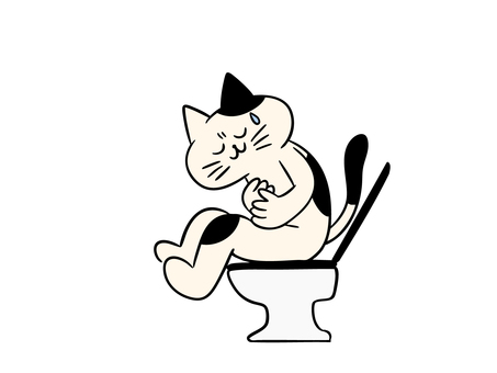 お腹の調子が悪い猫（カラー） 猫,トイレ,便器,腹痛,下痢,便秘,膨満感,ガス,おなら,不健康のイラスト素材