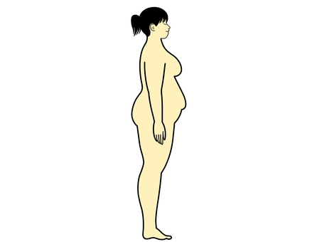 体型 体型,ダイエット,身体,体,肥満,デブ,メタボ,メタボリック,脂肪,皮下脂肪のイラスト素材