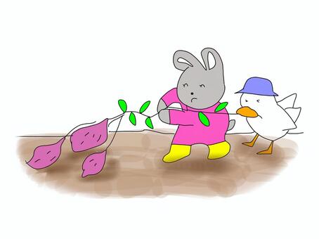 さつまいも掘り　うさぎと鳥 さつまいも,掘る,収穫,芋掘り,遠足,うさぎ,鳥,子供向け,かわいい,ほのぼののイラスト素材