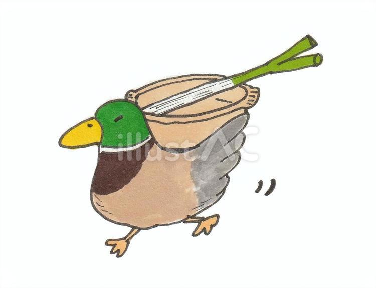動物ことわざシリーズ「カモネギ」 カモ,ネギ,鍋のイラスト素材