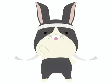 応援_兎 応援,うさぎ,ダッチ,笑顔,動物,かわいい,鉢巻のイラスト素材