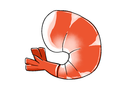 むきエビ むきエビ えび,ボイル,赤のイラスト素材