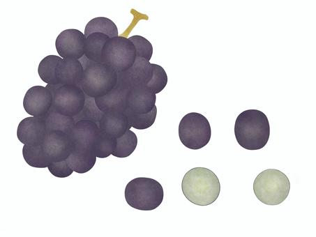 Illustration, grape, food, fruit, 