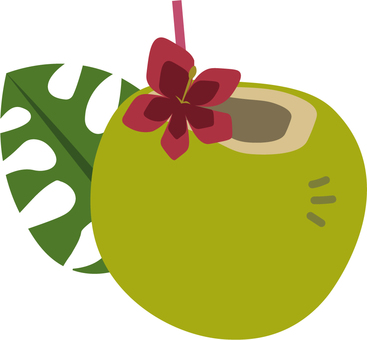 Illustration, hawaii, southern country, coconut, 