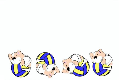 Volleyball Dog Corocoro, JPG Volleyball Dog Corocoro, वालीबाल, घाटी, नोटपैड, JPG