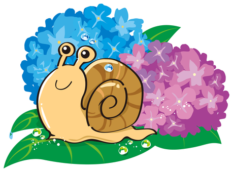 Illustration, snails, dendemushi, hydrangea, 