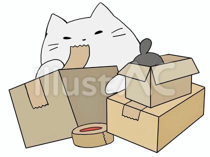 荷造りねこ