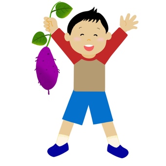 Illustration, sweet potato, potato digging, autumn, 