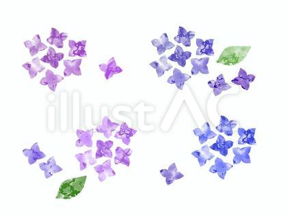 水彩タッチの紫陽花のイラストセット