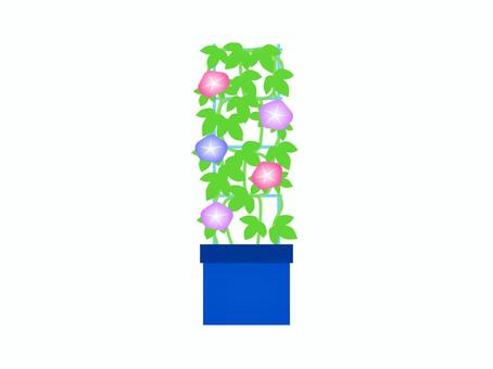 朝顔の栽培キット 朝顔の栽培キット アサガオ,花,植物,風物詩,夏,プランター,葉っぱ,育てる,植える,アイコンのイラスト素材