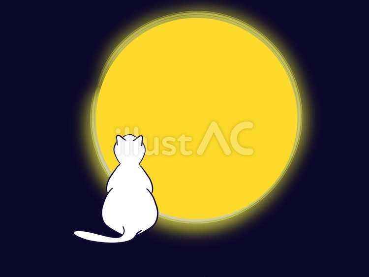 十五夜　猫 十五夜,猫,月のイラスト素材