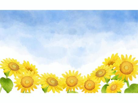 空背景のひまわり畑のフレーム(文字なし) 空背景のひまわり畑のフレーム(文字なし) ひまわり,向日葵,ひまわり畑,夏,フレーム,花,お花,葉っぱ,葉,植物のイラスト素材