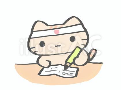 勉強するねこ