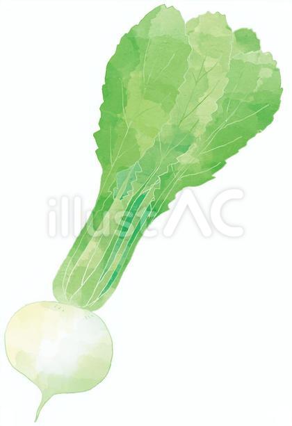 かぶ