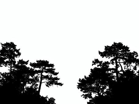 左右に広がる森のシルエット 森,林,木,樹木,シルエット,自然,風景,森林,木立,枝のイラスト素材