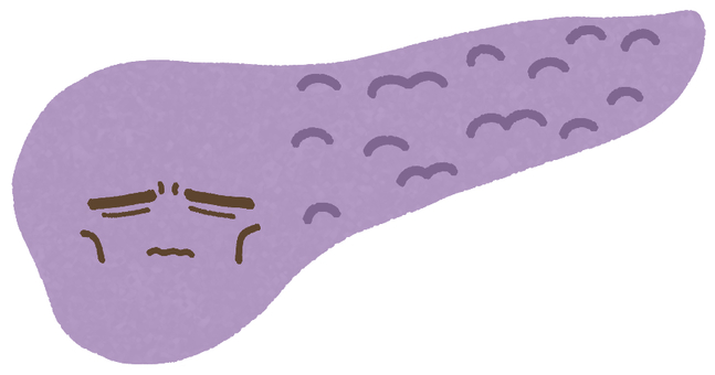 Illustration, pancreas, internal organs, parts, 