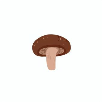 椎茸 椎茸,シイタケ,キノコ,食用,食べ物,食材,シンプル,手描き,手書き,イラストのイラスト素材