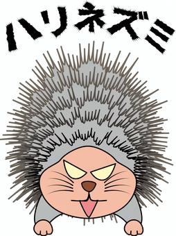 ハリネズミ怒る ハリネズミ怒る ハリネズミ,トゲトゲ,痛い,怒る,威嚇,毛,逆立つ,動物,デフォルメ,キャラのイラスト素材