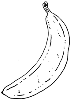 Illustration, banana, handwriting, monochrome, 