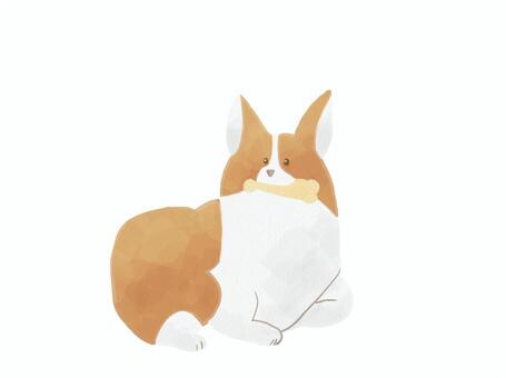 コーギーのおやつタイム コーギー,犬,ドッグ,わんちゃん,ペット,骨,おやつ,食べ物,かわいい,おしゃれのイラスト素材