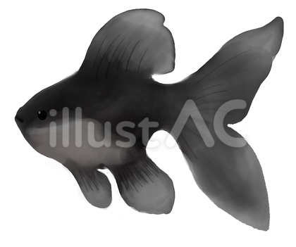 金魚・テツオナガ