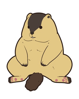 マーモット１ マーモット,動物,野生,生物,かわいい,座る,真顔,生き物のイラスト素材