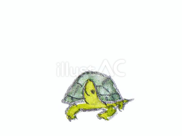 カメイラスト - No: 23488494／無料イラスト/フリー素材なら「イラストAC」