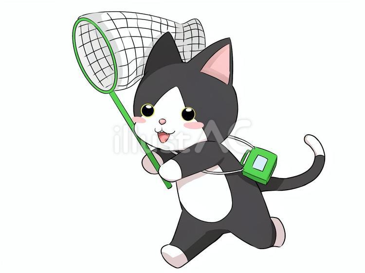 夏を楽しむハチワレ猫ちゃん 猫,動物,生物のイラスト素材