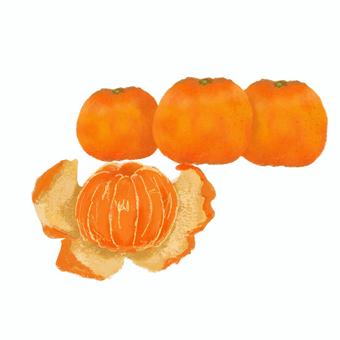 みかんたくさん みかん,冬,果物,たくさん,手書き風のイラスト素材