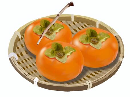 採れたてのザルに乗った柿 柿,果物,果実,果肉,フルーツ,ザル,デザート,枝,風物詩,季節のイラスト素材