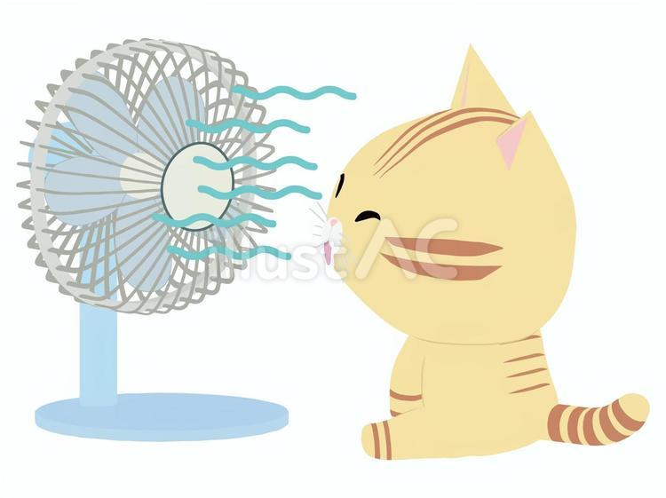 扇風機_猫 扇風機,猫,ちゃとらのイラスト素材