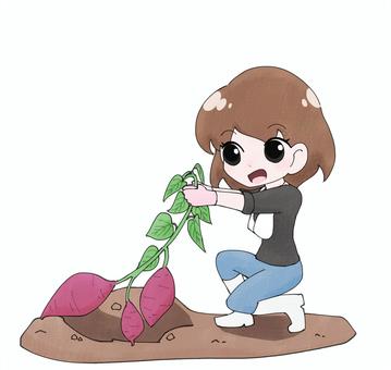 芋掘り体験する女子1 女性,女子,女の子,可愛い,さつまいも,芋掘り,収穫,秋,農作業,畑のイラスト素材