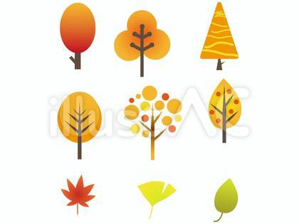 北欧風 秋の植物セット