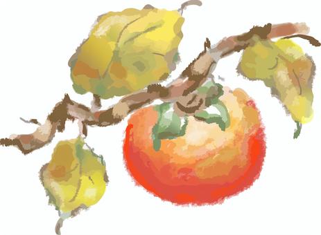 水彩の柿 柿,水彩,秋,秋の味覚,果物,ベクター,１１月,絵手紙,挿絵,フルーツのイラスト素材