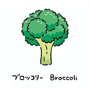 手描きのブロッコリー2_名称入 ブロッコリー,野菜,アイコン,食べ物,シンプル,食材,健康,料理,農業,自然のイラスト素材