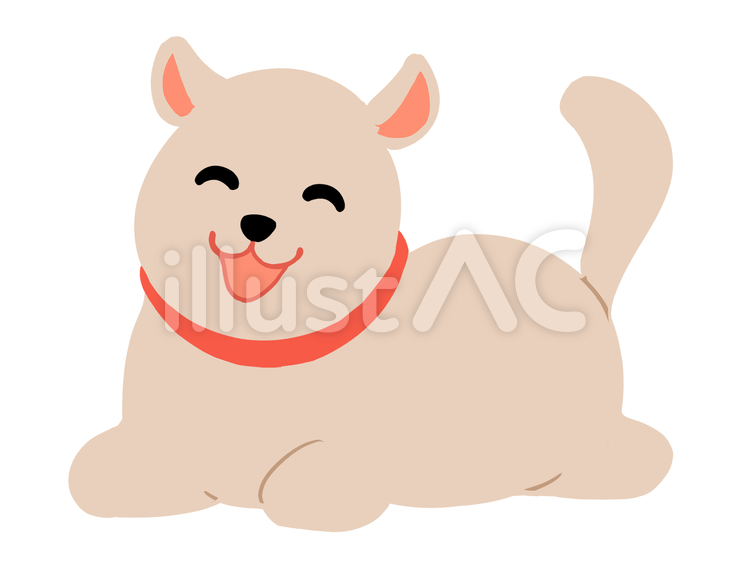 寝そべる犬 犬,茶色,可愛いのイラスト素材