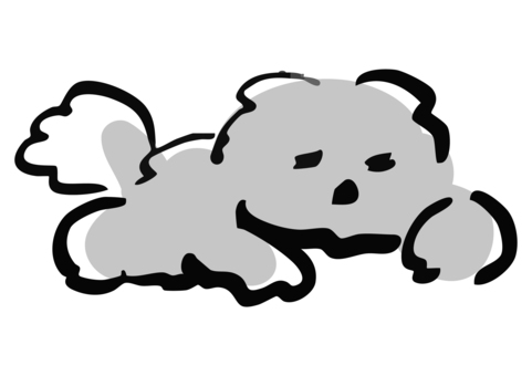 眠るプードル プードル,犬,寝る,睡眠,かわいい,わんこ,ペット,動物,ふわふわ,シンプルのイラスト素材