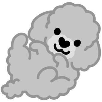 ハート鼻のプードル（ごろん）4 プードル,トイプードル,犬,動物,ハート,鼻,ゴロン,寝転がる,仰向け,シンプルのイラスト素材