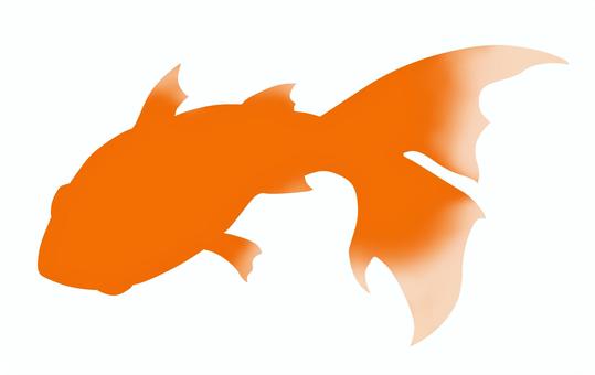 赤い金魚のシルエット 赤い金魚のシルエット 金魚,魚,シルエットのイラスト素材
