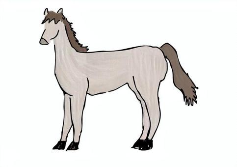 馬　カラー 馬,午年,スケッチ,干支,動物のイラスト素材