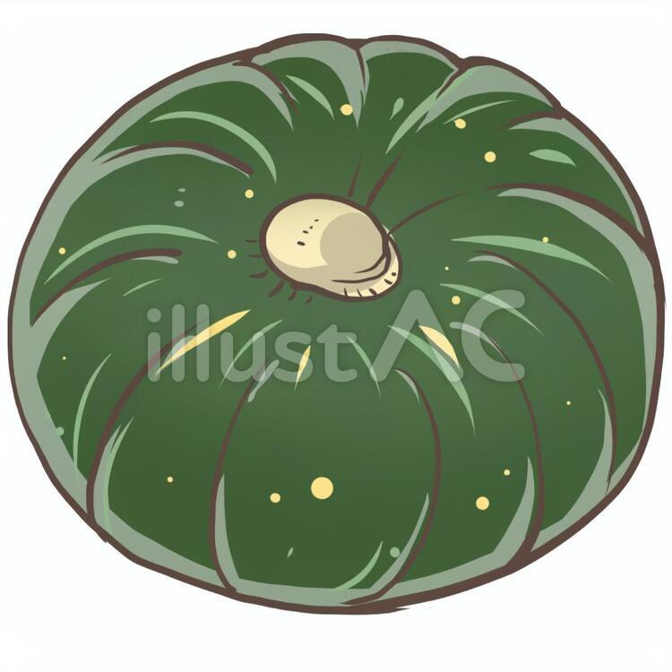 かぼちゃ かぼちゃ,丸ごと,一個のイラスト素材