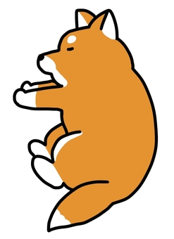 寝ている柴犬 柴犬,犬,寝る,横向き,手書き,動物のイラスト素材